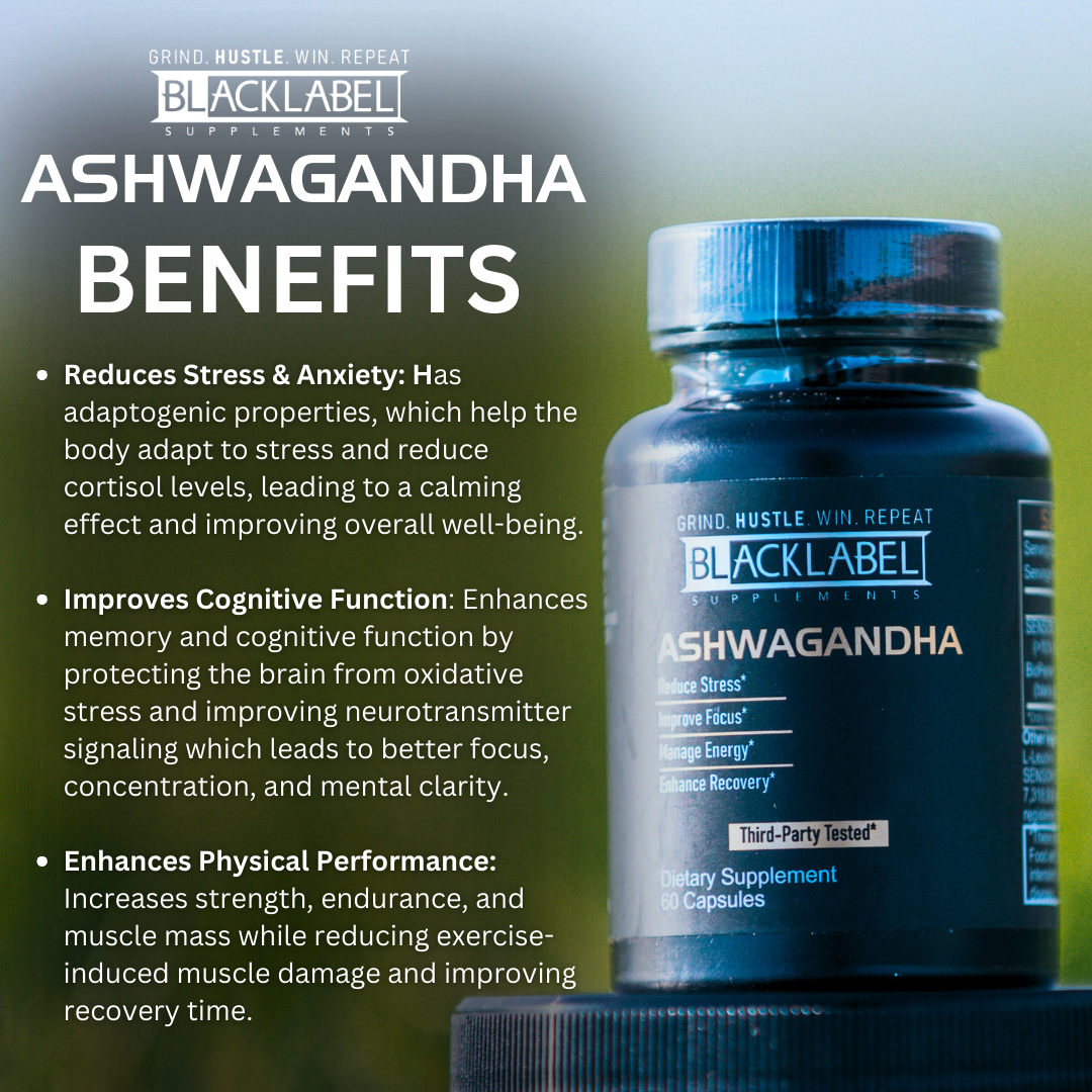 Sensoril Ashwagandha Extract - Premium Adaptogenic Herb for Stress Relief and Wellness - RFE Marketing Ventures