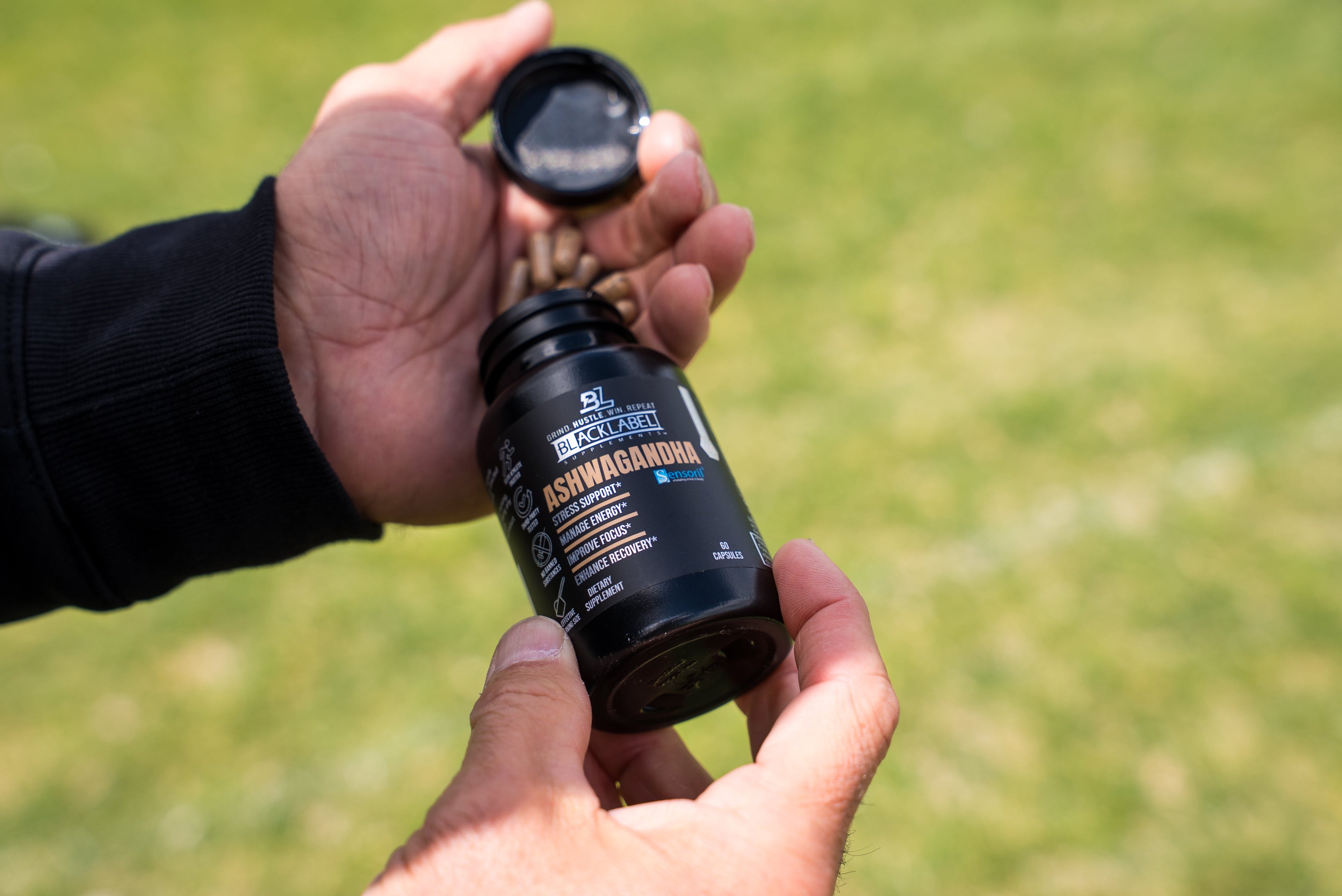 Sensoril Ashwagandha Extract - Premium Adaptogenic Herb for Stress Relief and Wellness - RFE Marketing Ventures